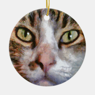 Long Haired Tabby Cat Close Up Portrait Ceramic Ornament