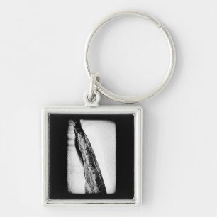 long hard cold lonely key ring