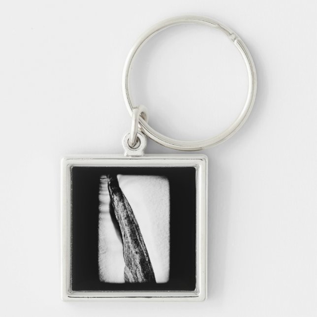 long hard cold lonely key ring (Front)