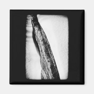 long hard cold lonely magnet