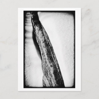 long hard cold lonely postcard