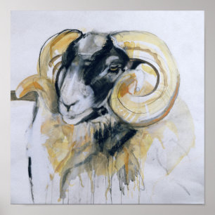 Long Horn Sheep Poster