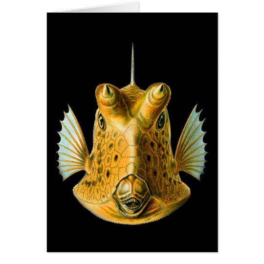 Long-horned Cowfish Card
