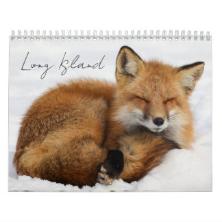 Long Island Calendar
