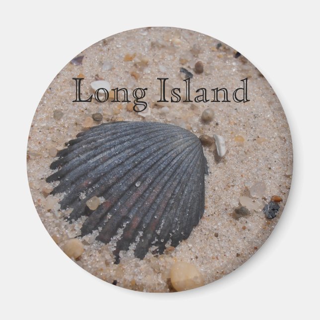 Long Island Scallop shell magnet (Front)
