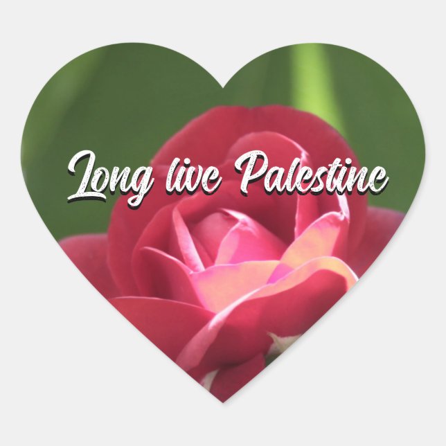 Long live Palestine pink green heart Sticker (Front)