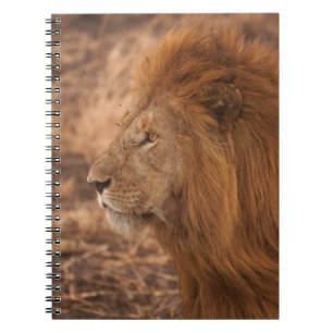 LONG-MANED LION NOTEBOOK