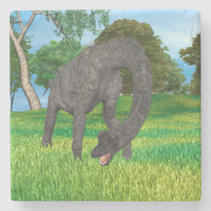 Long Neck Dinosaur Jungle Adventure Stone Coaster