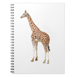 Long Neck Giraffe Notebook