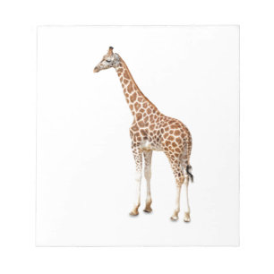 Long Neck Giraffe Notepad