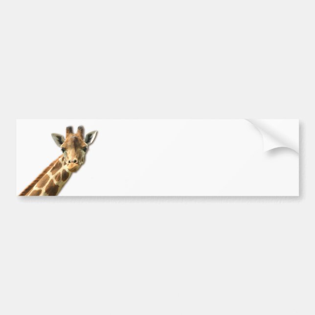 Long Necked Giraffe Bumper Sticker (Front)