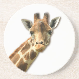 Long Necked Giraffe Coaster
