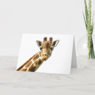 Long Necked Giraffe Greeting Card