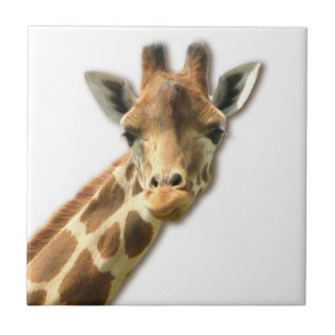 Long Necked Giraffe Tile
