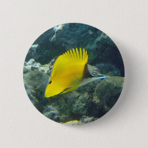 Long Nose Butterfly Fish 6 Cm Round Badge
