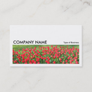 Long Picture 0233 - Bed of Red Tulips 01 Business Card