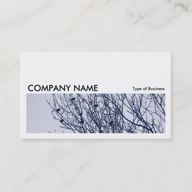 Long Picture 0260 - Starlings in a Tree Business Card (Front)