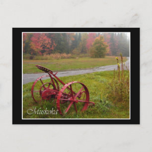 Long Road Ahead Postcard
