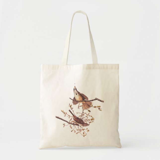 Long Sparrow Audubon Birds with Tiny Spider Tote Bag (Front)