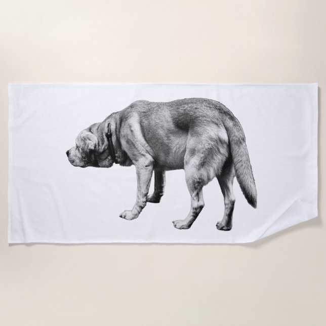 Long Stride, Open Sky Beach Towel (Front)