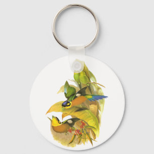 Long-tailed Broadbill Key Ring