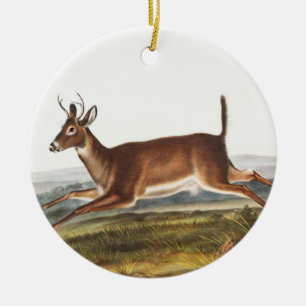 Long-tailed Deer (Cervus leucurus) Illustration Ceramic Ornament