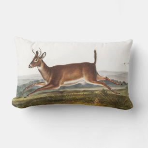 Long-tailed Deer (Cervus leucurus) Illustration Lumbar Cushion