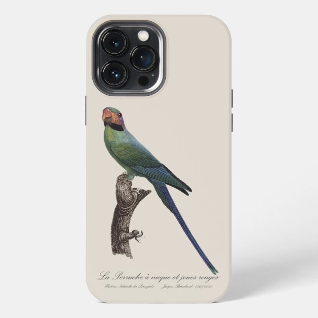 Long-Tailed Parakeet, Psittacula Longicauda iPhone Case (Back)
