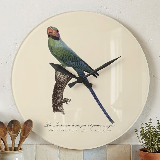 Long-Tailed Parakeet, Psittacula Longicauda Large Clock (Long-Tailed Parakeet, Psittacula Longicauda. Large Clock)