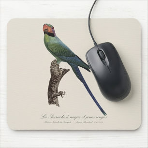 Long-Tailed Parakeet, Psittacula Longicauda Mouse Pad