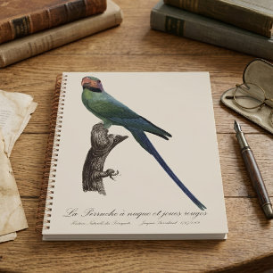 Long-Tailed Parakeet, Psittacula Longicauda Planner