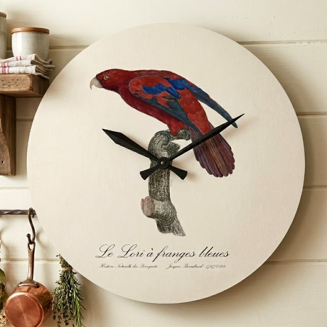 Long-Tailed Red Lory, Trichoglossus borneus Large Clock (Long-Tailed Red Lory, Trichoglossus borneus. Large Clock)