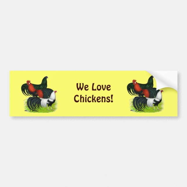 Long-tailed Rooster Trio Bumper Sticker (Front)