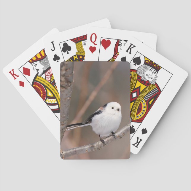 Long-tailed Tit Trump Card (Back)