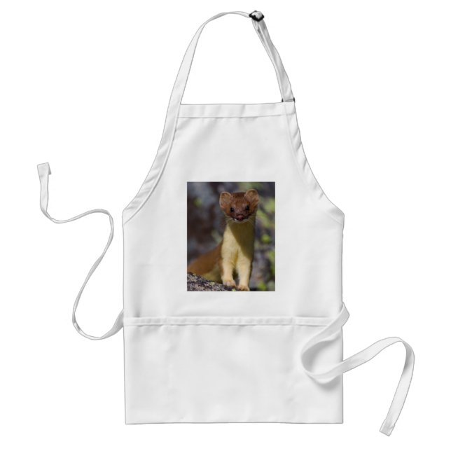 Long-tailed Weasel Standard Apron (Front)
