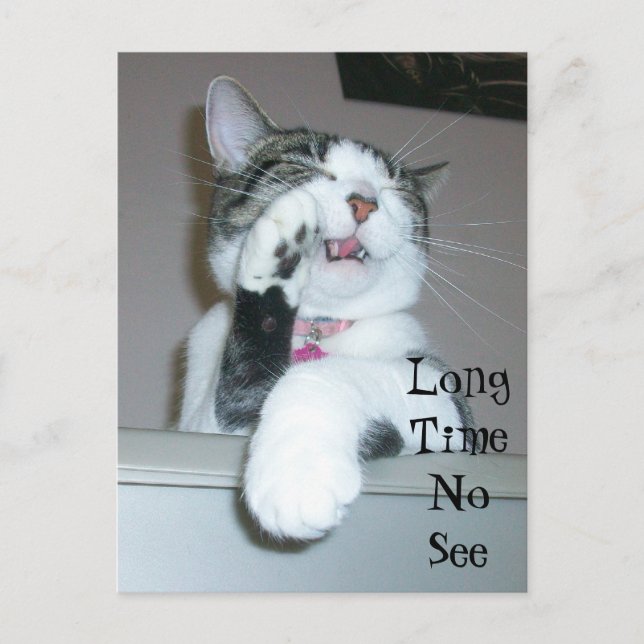 Long Time No See Postcard (Front)