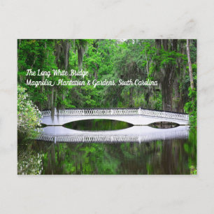 Long White Bridge Postcard