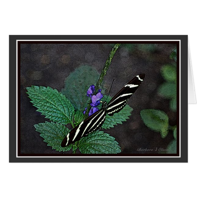 Long Wing Zebra Butterfly (Front Horizontal)