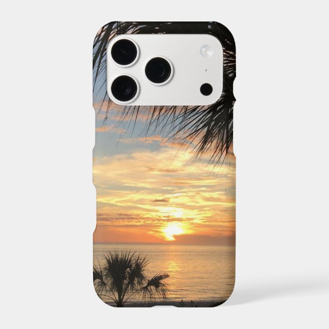 Longboat Key FL Sunset (Back)