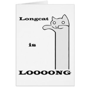 Longcat is Long