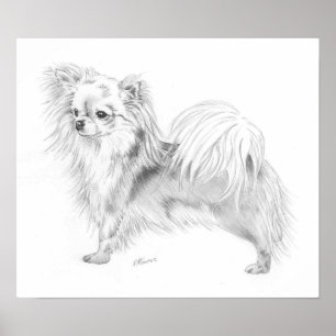 Longcoat Chihuahua Champion Poster