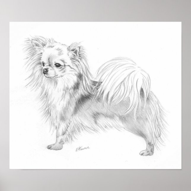 Longcoat Chihuahua Champion Poster (Front)