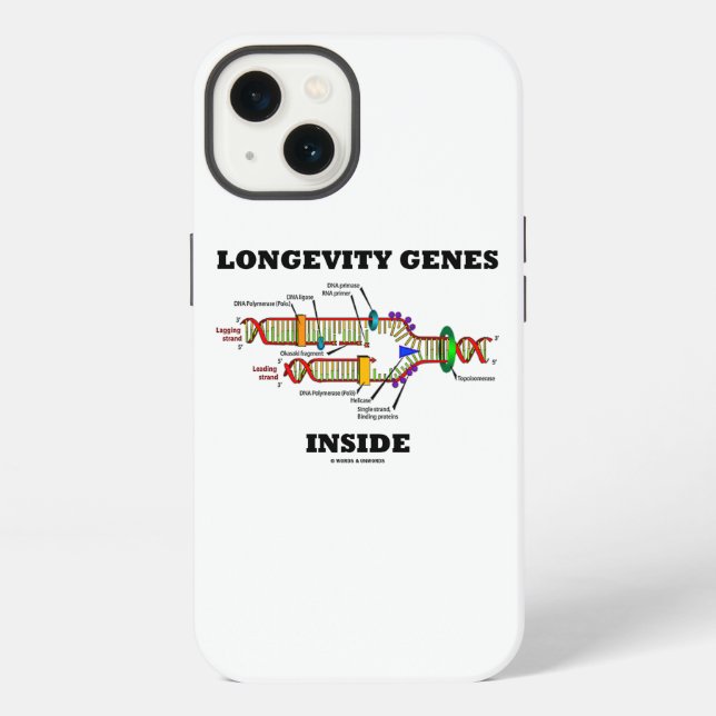 Longevity Genes Inside DNA Replication Humour iPhone Case (Back)