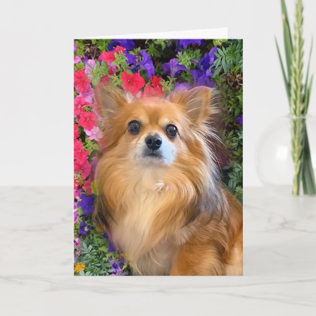 Longhair Chihuahua Floral Flowers Card (Front)