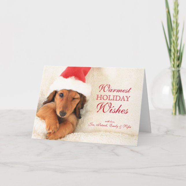 Longhair Dachshund Puppy Winking Holiday Card (Front)