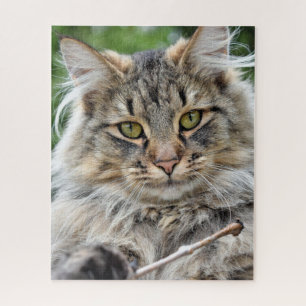 Longhair Tabby Cat Jigsaw Puzzle