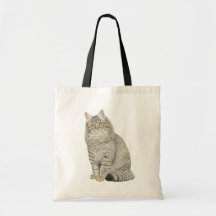 Longhair Tabby Cat