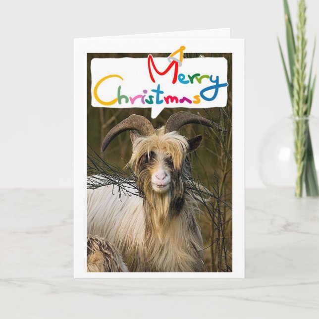 LONGHAIRD GOAT SAYS MERRIEST CHRISTMAS WITH YOU! HOLIDAY CARD (Front)