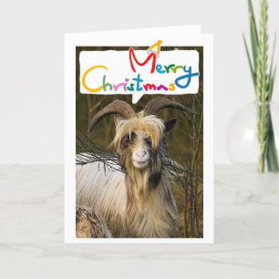 LONGHAIRD GOAT SAYS MERRIEST CHRISTMAS WITH YOU! HOLIDAY CARD