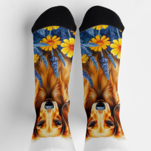 Longhaired dachshund in the flowers socks